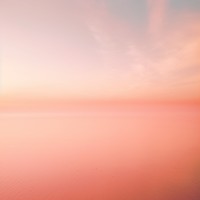 NullPlan. logo - Similar company to Zenit Studios Gmbh