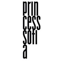 Princesssofia GmbH logo - Similar company to Promoga
