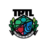 Turtle Academy & Ventures logo - Similar company to Jess3