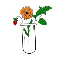 SeedMe logo - Similar company to Zoo.De