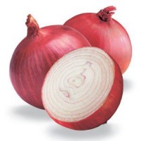 Diamond onion logo - Similar company to River Point Farms