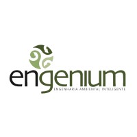 Engenium - Engenharia Ambiental Inteligente logo - Similar company to Aba Climate Solutions