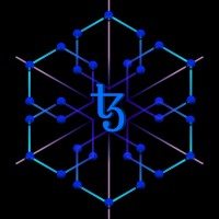 Tezos Developers Community, Vellore logo - Similar company to Girlscript Vellore