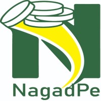 NagadPe logo - Similar company to Exim Advisory