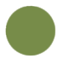 Olive Leaf Creative