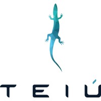 Teiú logo - Similar company to Dortech Systems