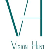 Vision Hunt Limited logo - Similar company to Tinwell