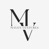 Maven Ventures Group logo - Similar company to Southern King Holdings Llc