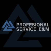 Profesional Service E&M logo - Similar company to Leaninn