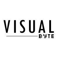 Visual Byte Private Ltd logo - Similar company to Firexit Software