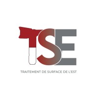 Traitement de surface de l'Est (TSE) logo - Similar company to Micronor