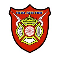 REALSEGFIRE logo - Similar company to Accordo App | Startup De Cobrança B2B