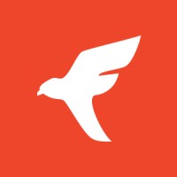 FinFalcon logo - Similar company to 37 Creators - Influencers Marketing Company