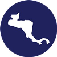 The Central American Group logo - Similar company to Fast 4 Cargo