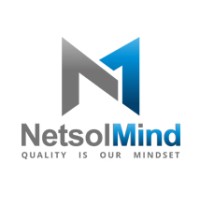 PT. NETINDO SOLUTION GROUP logo - Similar company to Pt Afedigi Teknologi Indonesia