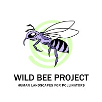 Wild Bee Project logo - Similar company to Qse Advice Group