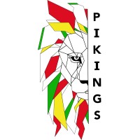 PIKINGS logo - Similar company to Les Parrains Marins