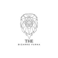 BIZARRO FINTECH SOLUTIONS logo - Similar company to Finax En