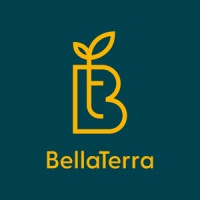 BellaTerra Consulting logo - Similar company to Sq Machinery Co.,Ltd