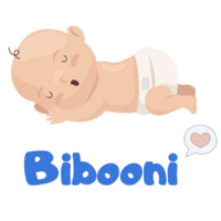 Bibooni logo - Similar company to Sogeric