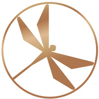 Amber Construction logo - Similar company to Cobolt Constructions