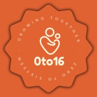 0to16 logo - Similar company to Lendmefy