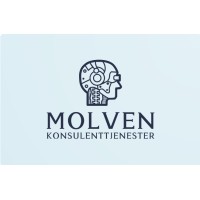 Molven Konsulenttjenester logo - Similar company to Vmerge As