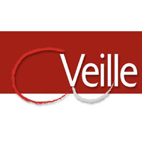 Veillemag logo - Similar company to Gf2I - Groupement Français De L'Industrie De L'Information