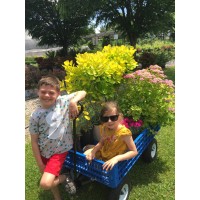 Little Fox Farm Nursery logo - Similar company to Progress Construction Inc.