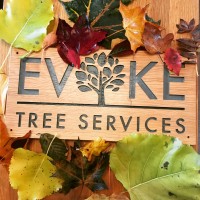 EVOKE TREE SERVICES LTD logo - Similar company to Thor'S Trees