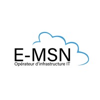 E-MSN logo - Similar company to E-Si