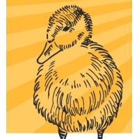 Odd Duck LLC logo - Similar company to Odd Duck Minds Technologies Private Limited