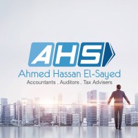 AHS - Auditors logo - Similar company to Pulse Reality