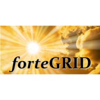 forteGRID logo - Similar company to Dynamic Grid