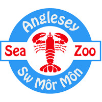 Anglesey Sea Zoo Marine Conservation Centre logo - Similar company to Môr Cymru