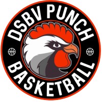 D.S.B.V. Punch logo - Similar company to D.S.B.V. Punch