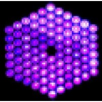 Blacklight Pro
