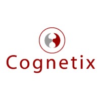 Cognetix Limited logo - Similar company to Knowledgeable Holdings Llc