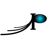 Remodeling by Palace, LLC logo - Similar company to Sandstar Remodeling & Interior Design