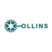 Ollins logo - Similar company to Polypak