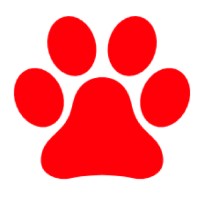 RedBear Media logo - Similar company to Quantum Fibre Broadband