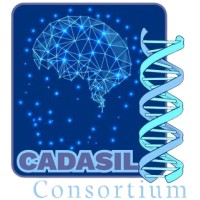CADASIL Consortium logo - Similar company to Curecadasil