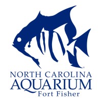 North Carolina Aquarium at Fort Fisher logo - Similar company to Uncw Center For Marine Science