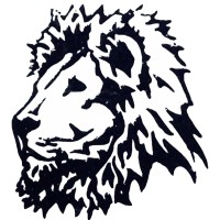 New Vision for Africa - NVFA logo - Similar company to Fair Score