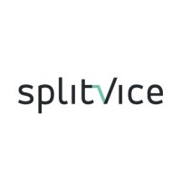 Splitvice - Project portfolio tool with integrated decision making support logo - Similar company to Xqting