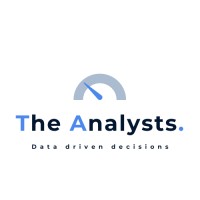 The Analysts logo - Similar company to Techrou Pro