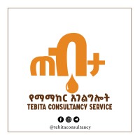 Tebita consultancy logo - Similar company to Tebita Ambulance