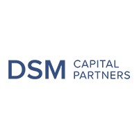 DSM Capital Partners logo - Similar company to Venturesails