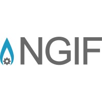 NGIF Capital logo - Similar company to Ionada