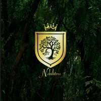 Nobilitree logo - Similar company to Sixth Sun Immersions